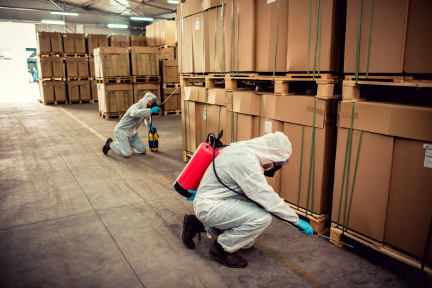 Best Mosquito Control Services  in Eldorado, IL
