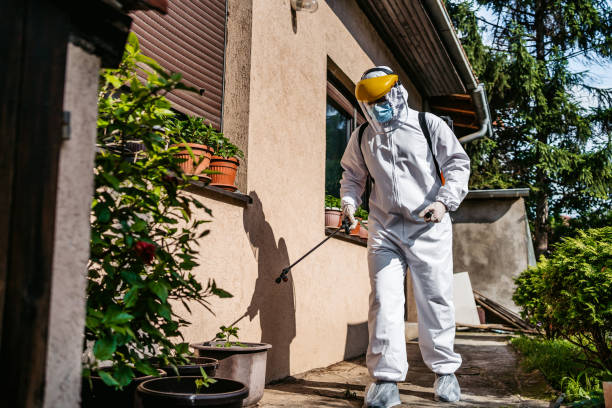 Best Spider Control Near Me  in Eldorado, IL
