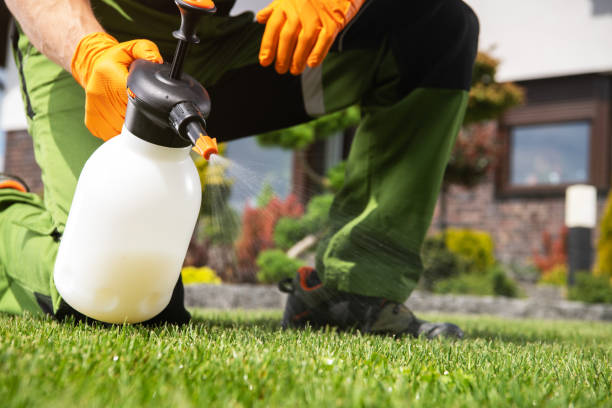 Best Commercial Pest Control Services  in Eldorado, IL