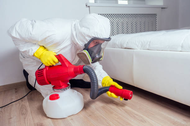 Best Bed Bug Extermination  in Eldorado, IL