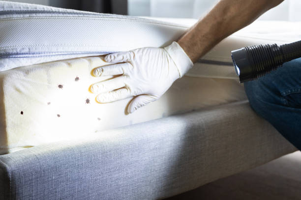 Best Pest Control Near Me  in Eldorado, IL
