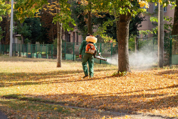 Best Affordable Pest Control Services  in Eldorado, IL