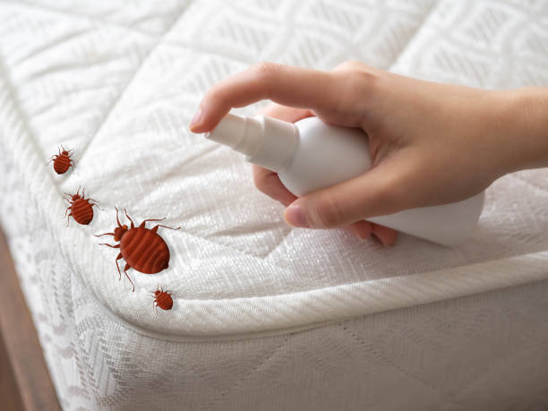 Best Best Pest Control Companies  in Eldorado, IL