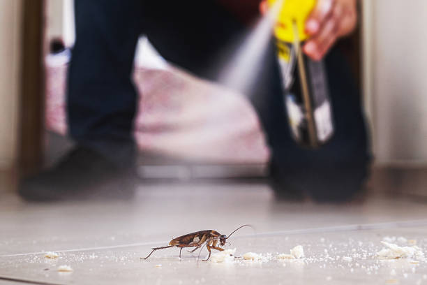 Best Emergency Pest Control  in Eldorado, IL